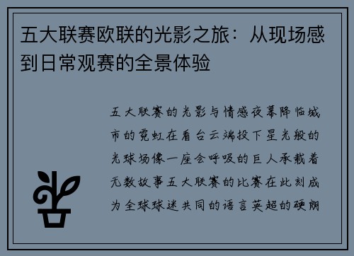 五大联赛欧联的光影之旅：从现场感到日常观赛的全景体验