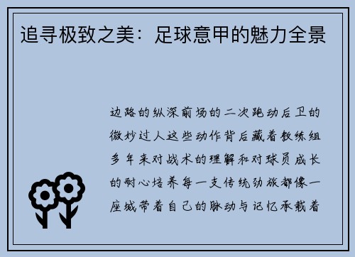 追寻极致之美：足球意甲的魅力全景